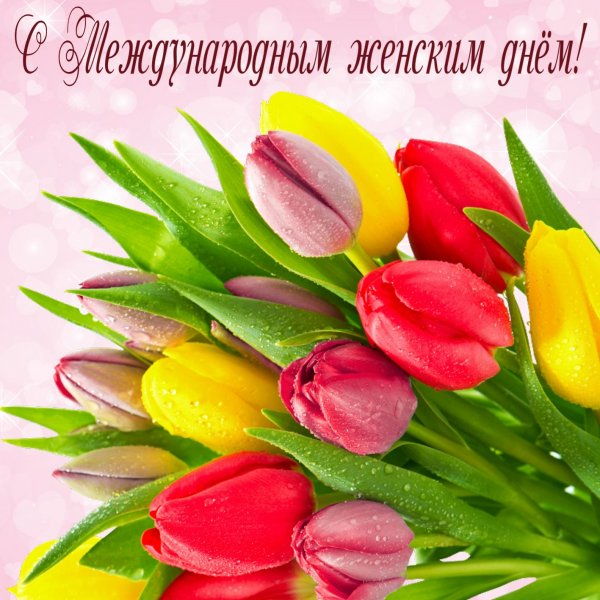Букет тюльпанов в капельках росы на 8 марта