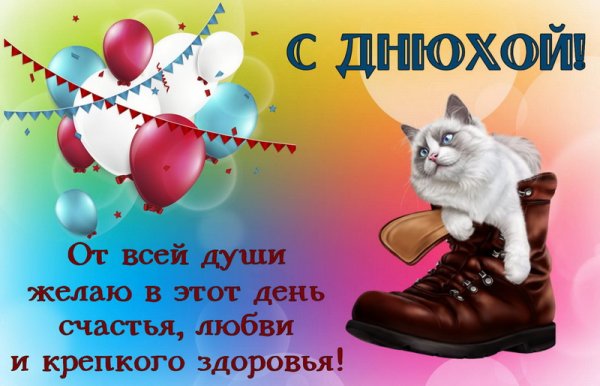 Кот в ботинке поздравляет с Днюхой