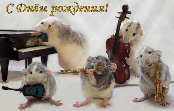 Мышата играют на музыкальных инструментах