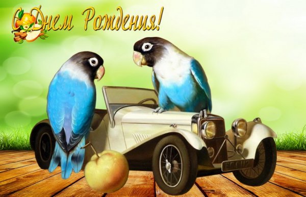 С днём рождения, старинная машина, попугаи