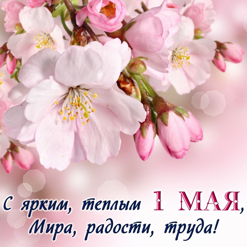 Весенние цветы с пожеланием на День весны c 1 мая