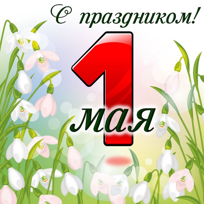 Открытка с цветами на День весны и труда c 1 мая