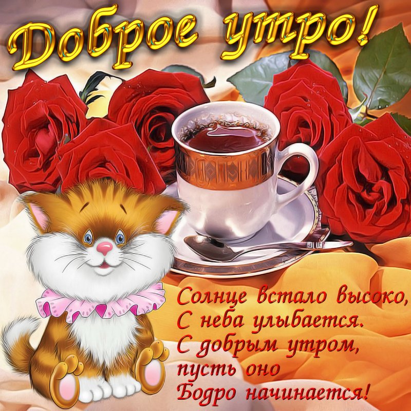 Картинка с милейшим котиком и красными розами